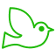 Seed