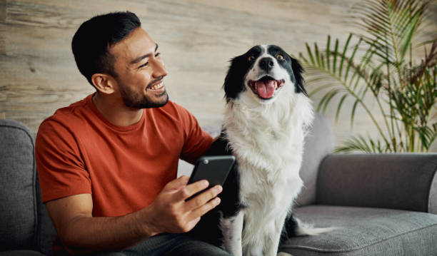A local Pexpert out with a dog