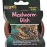 Mealworm Dish