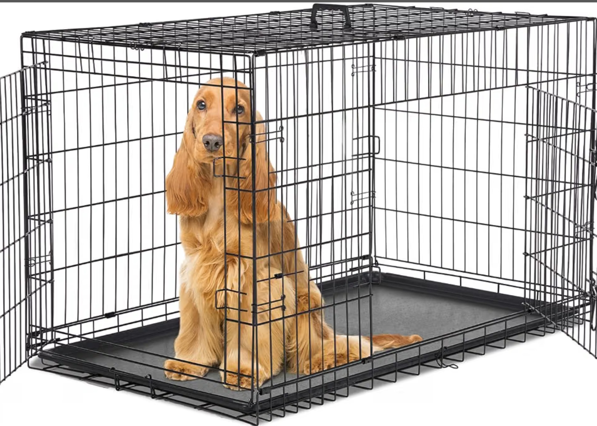 dog crate  48 inch.  (48x 29 x 32)