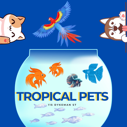 Tropical Pets - Dyckman
